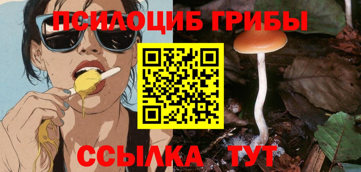 Галлюциногенные грибы Psilocybe  Истра 