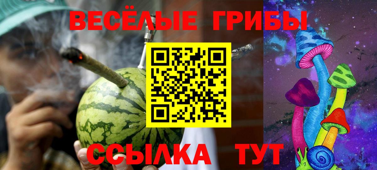 Истра  Псилоцибиновые грибы Psilocybine cubensis  Вход с VPN 